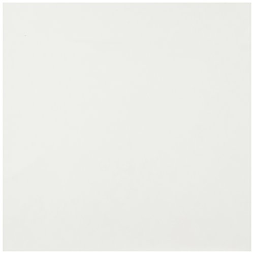 Ahlstrom Blotting Papier Blatt, Glatt, 550g/m², 580mm x 580mm, 25 Stück von neoLab