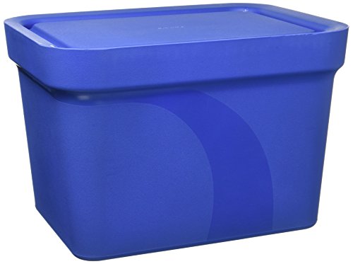 neoLab Geschäumtes Polyurethan Eiswanne Midi-Coolit, 4 L Kapazität, Blau, 300mm x 228mm x 200mm von neoLab