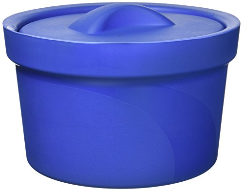 neoLab 2-6001 Eiseimer mit Deckel, circa 2,5 l, PVC, Blau von neoLab