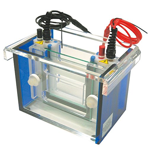 neoLab Kamm für Gelelektrophoresekammer Mini, 12 Zähnen, 80µL Volumen Taschen, 1.5mm Dicke x 4.1mm Breite von neoLab