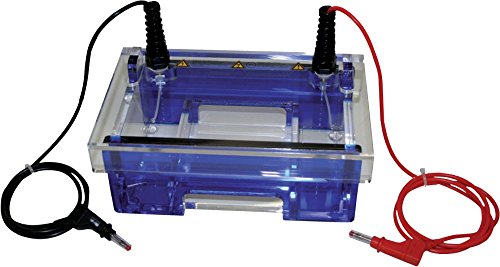 neoLab Kamm für Gelelektrophoresekammer, 8 Taschen, 45µL Volumen Taschen, 1.5mm Dicke x 7.5mm Breite von neoLab