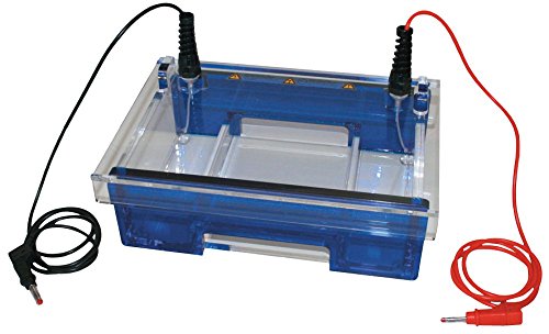 neoLab Kamm für Elektrophoresekammer Midi Horizontal, 13 Taschen, 45µL Volumen Taschen, Grau, 1.5mm Dicke x 7.5mm Breite von neoLab