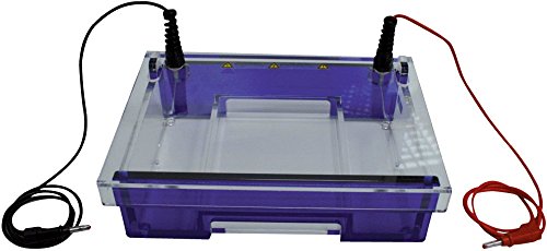 neoLab Kamm für Elektrophoresekammer Midi Large Horizontal/Midi-I Bufferflow, 16 Taschen, 45µL Volumen Taschen, Grau, 1.5mm Dicke x 7.5mm Breite von neoLab