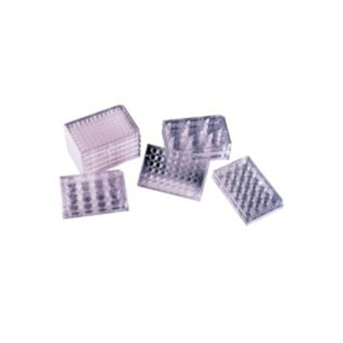 Falcon Polystyrol Microtest Zellkulturplatten, 96 Vertiefungen, Flach, Transparent, 50 Stück von Falcon
