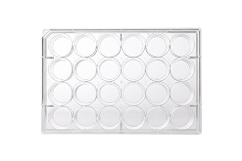 neoLab Multitestplatten 24 Well Flach, Transparent, 16.2mm Durchmesser, 1.92 cm², 3.42mL Kapazität, 100 Stück von neoLab
