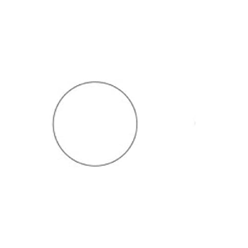 neoLab Papier Rundfilter Quantitativ, Typ 389, Weiß, 125mm Durchmesser, 100 Stück von neoLab