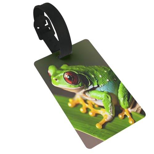 Wiederverwendbare Gepäckanhänger mit Frosch-Motiv, stilvolles Reise-Urlaubszubehör von njkhbolk