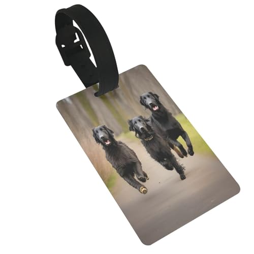Wiederverwendbare Gepäckanhänger mit Pfotenabdruckmotiv, flach, beschichtet, stilvolles Reise-/Urlaubszubehör von njkhbolk