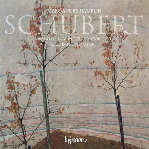 Schubert: Sonate D 960 / 4 Impromptus D 935 von note 1 music gmbh / Heidelberg