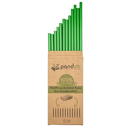 pandoo 12 HB Bleistifte aus Recyceltem Zeitungspapier | Umweltfreundliche Bleistifte | Bleistift-Set zum Zeichnen, Skizzieren, Schule, Kinder | Eco Pencil | Nachhaltige Schulsachen von pandoo