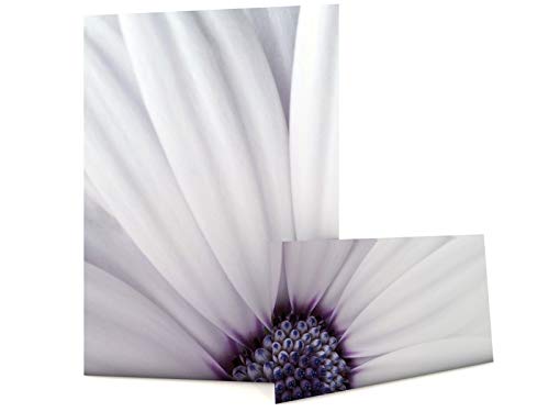 Blume in Pastell Briefpapier Set Violet Flower, 40-teilig mit 20 Blatt Motivpapier DIN A4 und 20 passenden DIN LANG-Briefumschlägen von paperandpicture.de