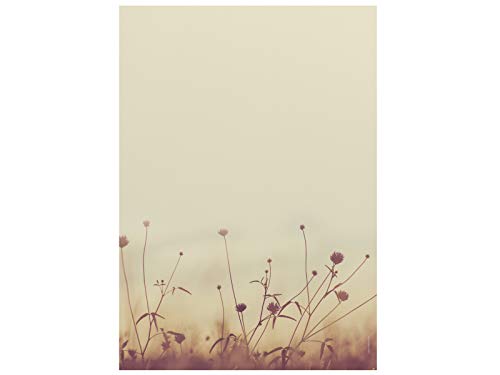 Briefpapier | Herbstwiese in der Sonne | 20 Blatt Herbstliches Motivpapier DIN A4 von paperandpicture.de