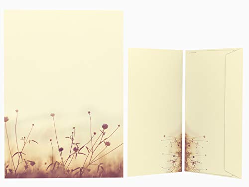 Briefpapier Set | Herbstwiese in der Sonne | 50 Blatt Herbstliches Motivpapier A4 | 50 Briefumschläge OHNE FENSTER im DIN LANG-Format von paperandpicture.de
