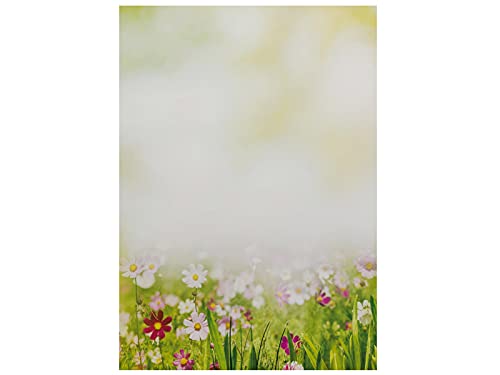 Briefpapier | Sommerwiese | 50 Blatt Blumen Motivpapier DIN A4 von paperandpicture.de