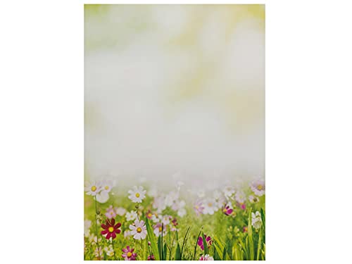 paperandpicture.de Briefpapier Sommerwiese 50 Blatt Blumen Motivpapier DIN A4 Mehrfarbig Decorativ von paperandpicture.de