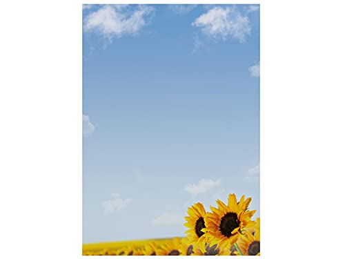 Briefpapier | Sonnenblumen | 50 Blatt Floral Blumen Motivpapier DIN A4 von paperandpicture.de