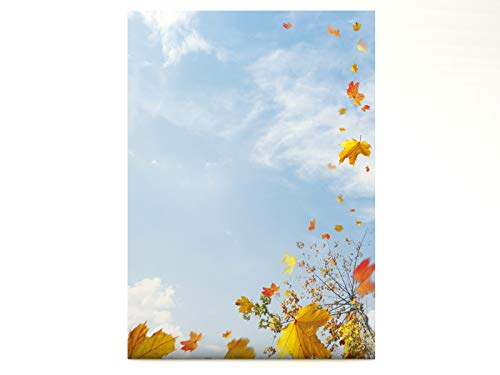 Designpapier Herbst Motivpapier Fallende Blätter, 100 Blatt Briefpapier DIN A4, 90g/qm von paperandpicture.de