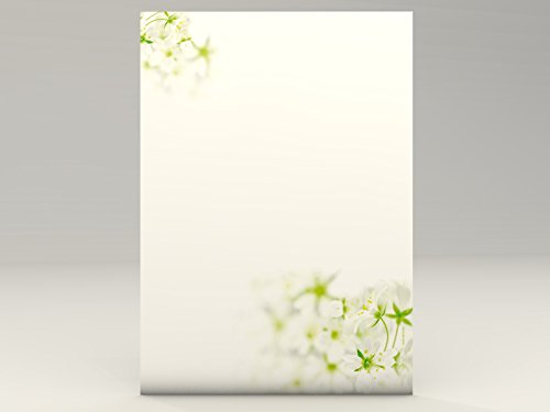 Frühlingsbriefpapier | Frischer Frühling | 50 Blatt frühlingshaftes Motivpapier DIN A4 | florale Motive | Briefpapier von paperandpicture.de