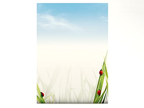 Motivbriefpapier | Marienkäfer im Gras | 100 Blatt Motivpapier mit Tiermotiv DIN A4 | Briefpapier von paperandpicture.de