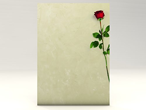 Motivpapier Rote Rose, 100 Blatt Motivpapier DIN A4, 90g/qm von paperandpicture.de