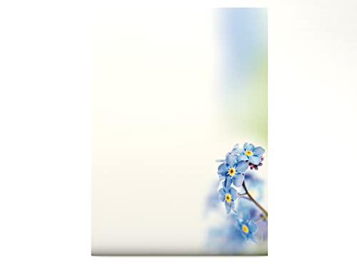 Natur und Blumen Motivpapier Veilchen, 50 Blatt Briefpapier DIN A4, 90g/qm von dirxbuschinger