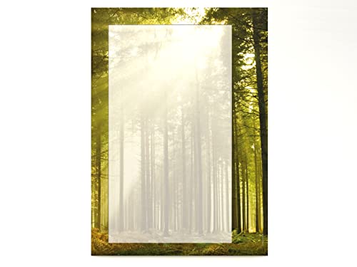 '"Waldweg im Sonnenlicht, 20 Blatt Motivpapier 90 g/qm von paperandpicture.de