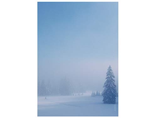 Weihnachtsbriefpapier | Tanne im Schneewald | 100 Blatt Motivpapier DIN A4 von paperandpicture.de