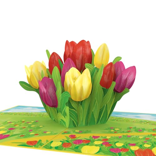 papercrush® Pop-Up Karte Muttertag „Bunte Tulpen” - 3D Muttertagskarte, Blumenkarte für Freundin, Frau & Mama (Geburtstagskarte, Gute Besserung, Danke) - Glückwunschkarte zum Geburtstag mit Blumen von papercrush
