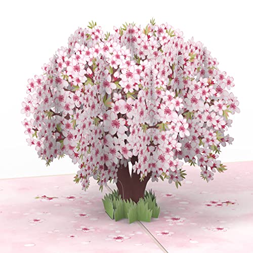 papercrush® Pop-Up Karte Kirschblüten Baum - 3D Geburtstagskarte mit Sakura Blüten für Frau, beste Freundin & Mama - Handgemachte Grußkarte zum Geburtstag, Muttertag und als Gute Besserung Karte von papercrush
