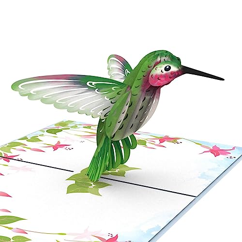 papercrush® Pop Up Karte Kolibri - 3D Geburtstagskarte mit fliegendem Vogel & Blumen für Frau, Freundin & Mama, Glückwunschkarte für Geburtstag, Gute Besserung, Viel Glück, Aufmunterung & als Danke von papercrush