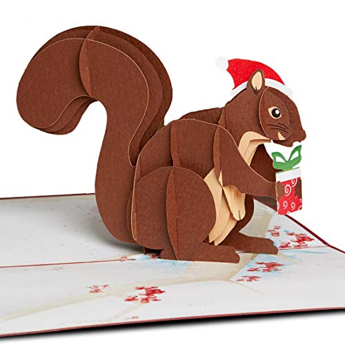 papercrush® Pop-Up Karte Weihnachten Eichhörnchen - Süße 3D Weihnachtskarte für Kinder, Frau oder Freundin - Handgemachte Popup Weihnachtsgrußkarte für Frauen inkl. Umschlag von papercrush
