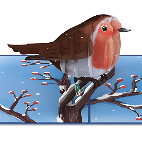 papercrush® Pop-Up Karte Weihnachten Rotkehlchen - Süße 3D Weihnachtskarte mit Vogel im Winter für Frauen (Freundin, Mama & Oma) - Handgemachtes Popup Weihnachtsbillet als Gutschein oder Geldgeschenk von papercrush