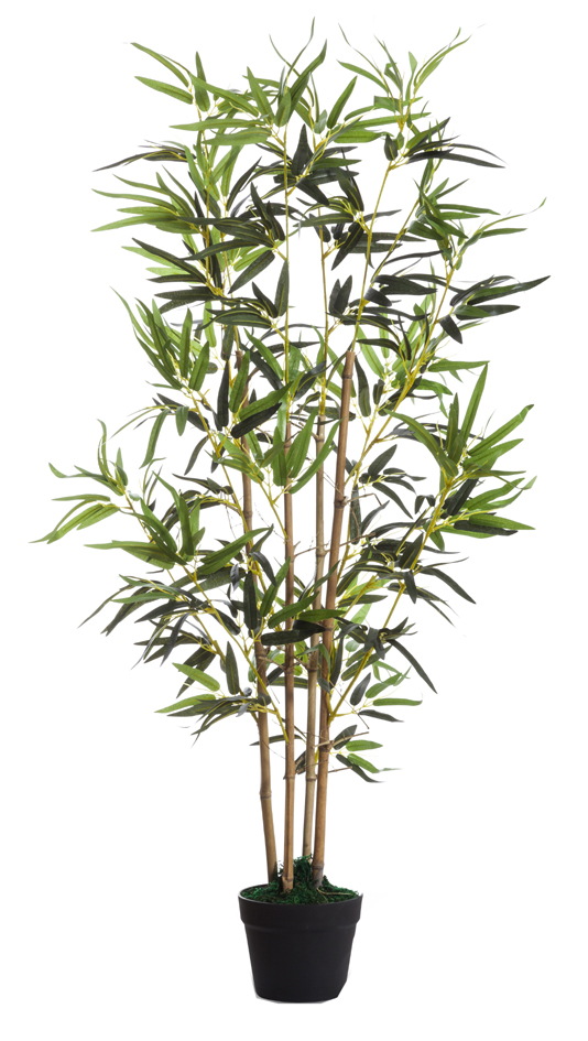 PAPERFLOW Kunstpflanze , Bambus, , Höhe: 1200 mm von paperflow