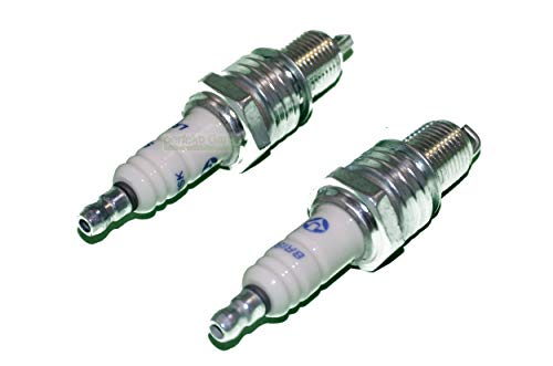 2 X Zündkerze für Hecht Rasenmäher 746 761 548 553 5484 5534 R SW SWE SX SXE 2 X Zündkerze für Hecht Rasenmäher 746 761 548 553 5484 5534 R SW SWE SX SXE von perfektGarten
