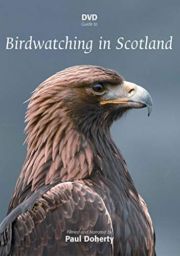 DVD Guide to Birdwatching in Scotland von peter west trading & music production e.k.