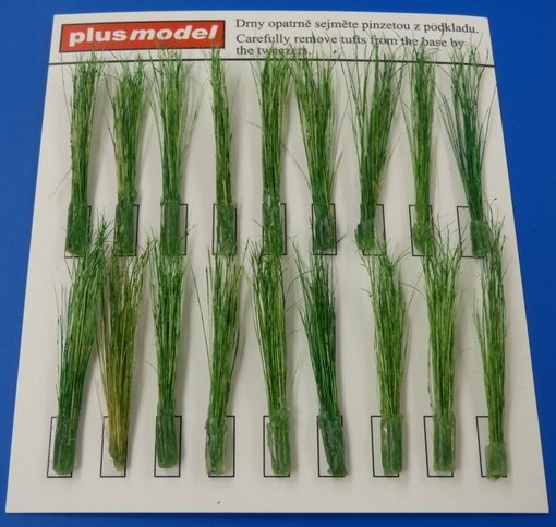 Tufts of reeds-green von plusmodel