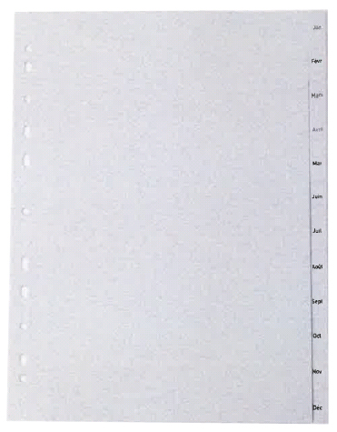 proOFFICE Kunststoff-Register, Monate, A4, Jan.-Déc. (FR) von proOFFICE