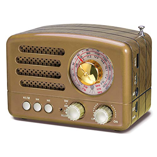 PRUNUS J-160 Klassisches Radio Retro Design UKW FM AM(MW) SW SD USB MP3 Bluetooth Transistor Radio mit Lautsprecher, unterstützt AUX-Funktion, 270° großes Kompass Tuning Fenster. (Gold) von prunus