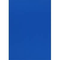 Deckblätter - Rückwände, folienkaschierter Karton, DIN A4, 250 g/m², blau, 100 Stück von r&b