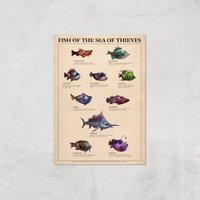 Fish Of The Sea Of Thieves Giclee Art Print - A2 - Print Only von rare