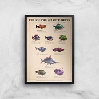 Fish Of The Sea Of Thieves Giclee Art Print - A3 - Black Frame von rare