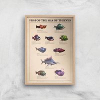 Fish Of The Sea Of Thieves Giclee Art Print - A4 - Wooden Frame von rare