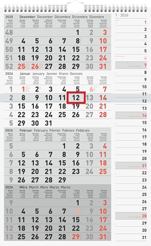 rido/idé 4-Monatskalender 2026 | grau, 300×490 mm rido/idé 4-Monatskalender 2026 | grau, 300×490 mm von rido/idé