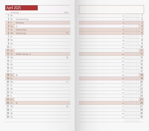 rido/idé Monats-Ersatzkalendarium Modell TM 11 (2025), 2 Seiten = 1 Monat, A6, 40 Seiten, weiß von rido/idé