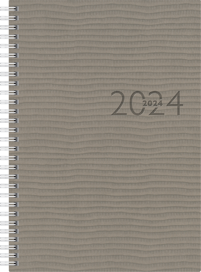 rido idé Buchkalender , studioplan int. Tejo, , 2024, grau von rido idé