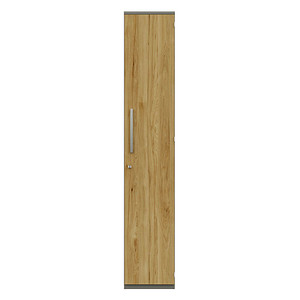 röhr Aktenschrank Techno, 019-460-6110-31-B1 grau 5 Fachböden 42,7 x 43,0 x 217,4 cm von röhr