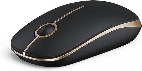 Seenda Kabellose Maus, 2,4 GHz, hohe Kompatibilität, geräuschlose Mäuse, 18 Monate Akkulaufzeit, 1600 hohe DPI-Präzision, glatte Maus für PC, Tablet, Laptop und Windows/Mac/Linux, Schwarz und Gold von seenda