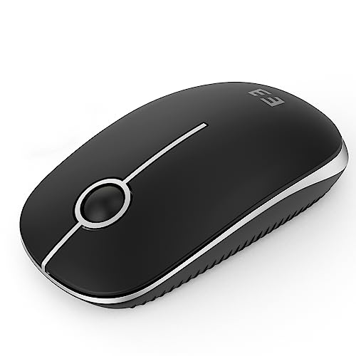 seenda Kabellose Maus, 2.4 G Silent Mouse mit USB-Empfänger, 18 Monate Akkulaufzeit, 1600 DPI Präzisions-tragbare Wireless Mouse für Windows/Mac/Linux mit USB-Anschlüssen, Schwarz und Silber von seenda