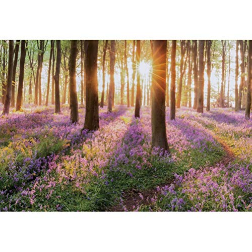 shensu Fotohintergrund aus Vinyl, 2,1 x 1,5 m, Sommerwald, Landschaft, Sonnenschein, Wiese, Violette Blumen, Fotografie-Hintergrund, Kinder, Baby, Kunst, Portrait, Fotoshooting, Booth, shensu Fotohintergrund aus Vinyl, 2,1 x 1,5 m, Sommerwald, Landschaft, Sonnenschein, Wiese, Violette Blumen, Fotografie-Hintergrund, Kinder, Baby, Kunst, Portrait, Fotoshooting, Booth, von shensu