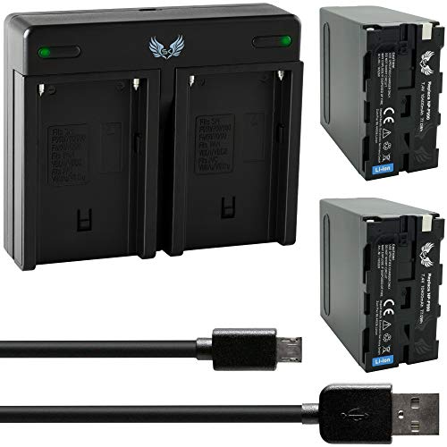 2X SK Akku Ersatz für Sony NP-F990 |- 10400mAh -| + Dual Charger für Sony Akku NP-F550 NP-F750 NP-F960 NP-F970 NP-F980 // Blitzgeräte Videoleuchten von skgames